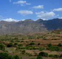 DSC_0474.JPG